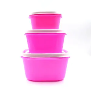 2029 3 Pc Multi-Purpose Container used in all kinds of household and official purposes for storing food and stuffs etc.