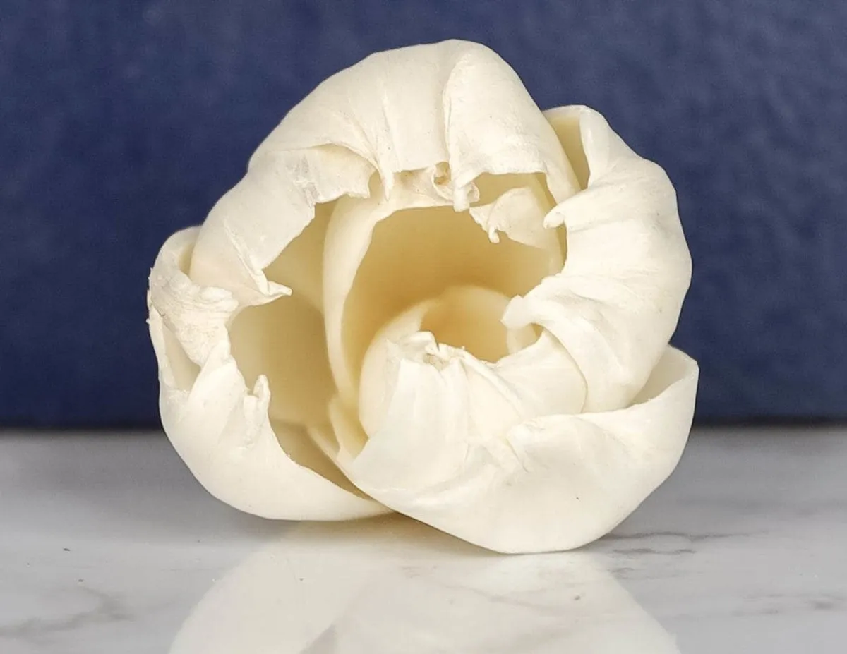 3" Precious Tulip (10 pack)