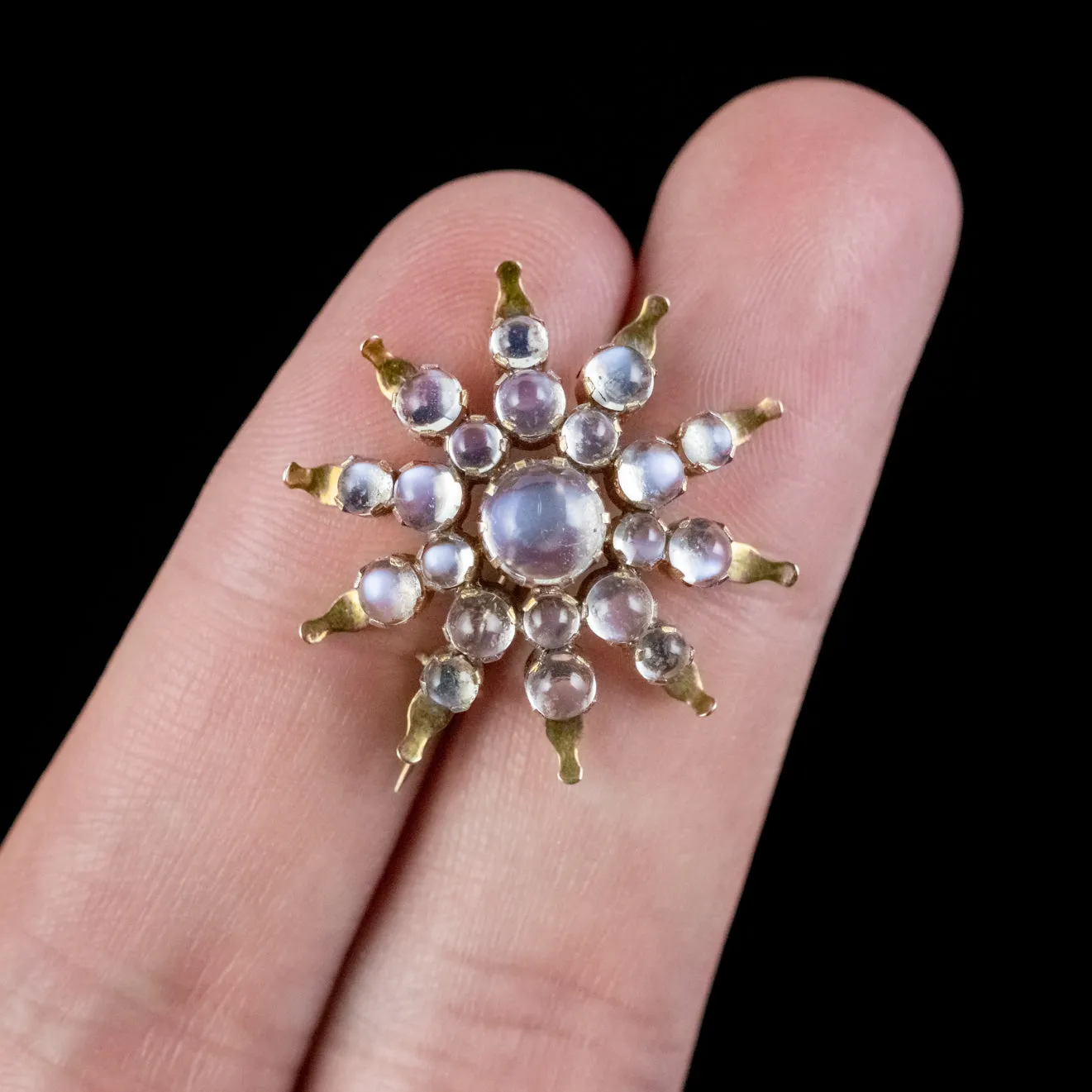 Antique Victorian Moonstone Star Brooch 15ct Gold Circa 1890