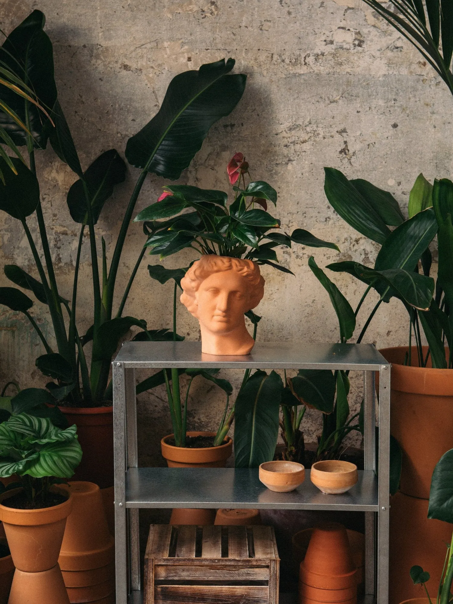 Apollo Ceramic Vase, Sugar Ginger - Doiy