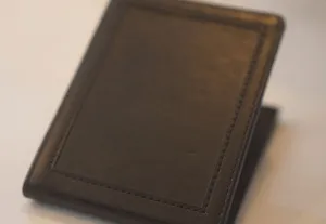 Chameleon Skin Wallet