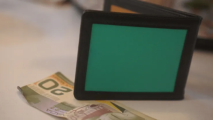 Chameleon Skin Wallet