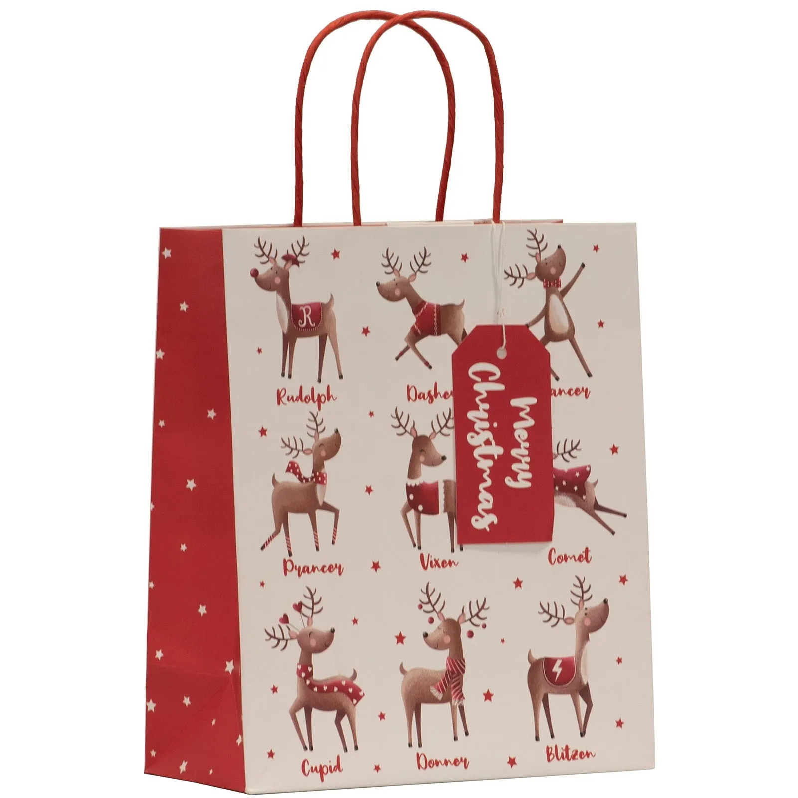 Christmas Team Santa Gift Bag