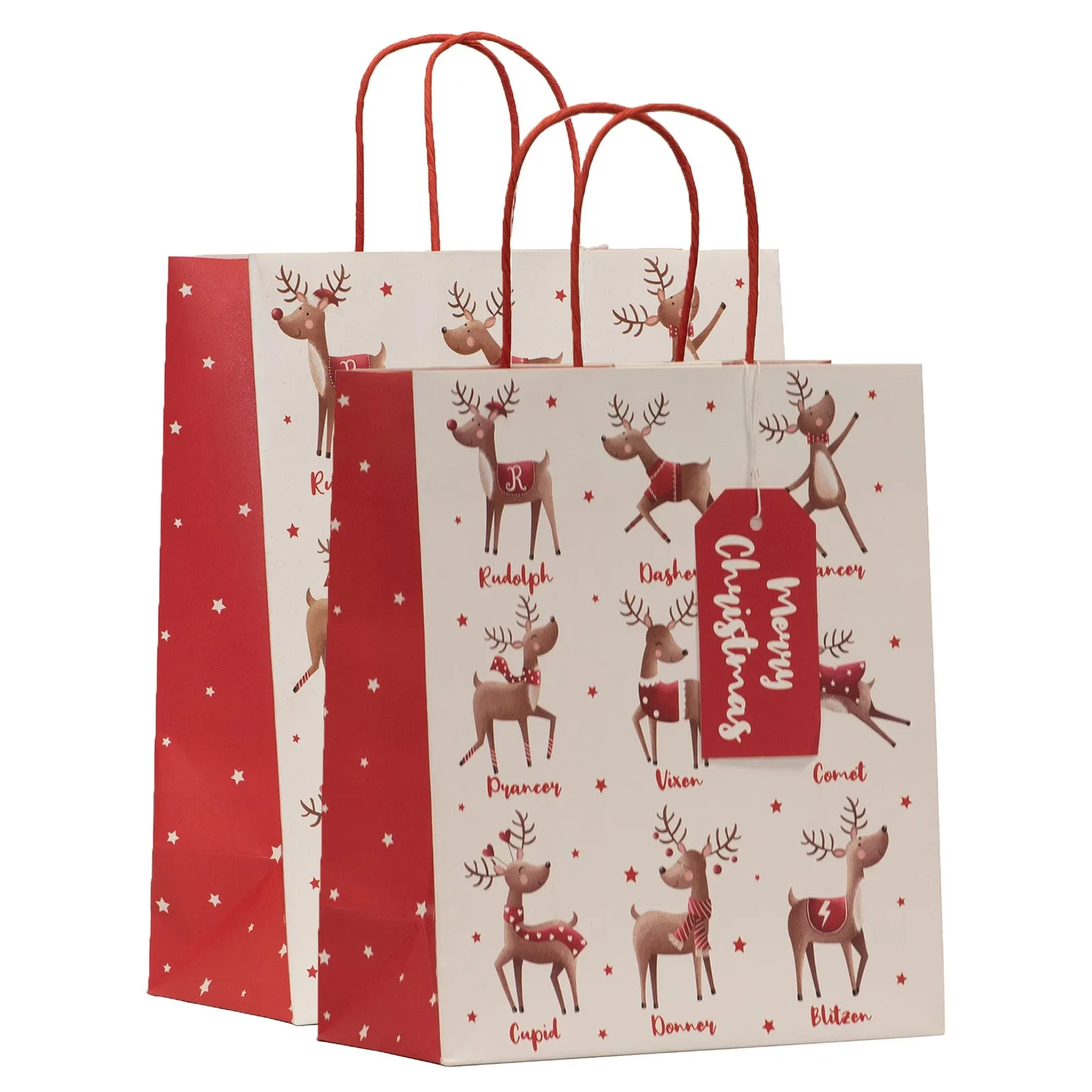 Christmas Team Santa Gift Bag