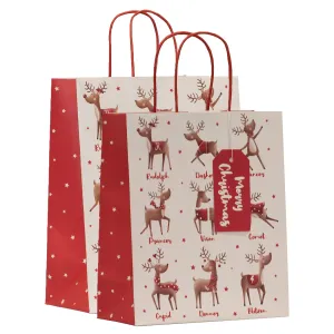 Christmas Team Santa Gift Bag