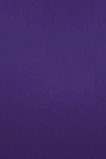 Dark Purple Poplin Shirt