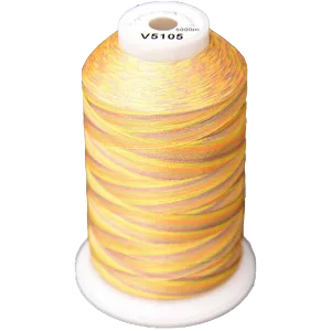 Exquisite Medley Variegated Thread - Citrus 5000M V5105