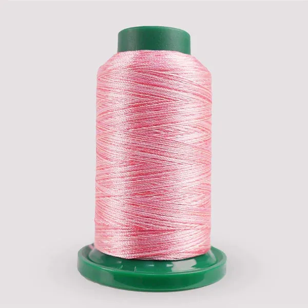 Exquisite Medley Variegated Thread - Cotton Candy 1000M V110