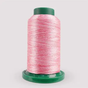 Exquisite Medley Variegated Thread - Cotton Candy 1000M V110