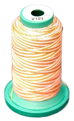 Exquisite Medley Variegated Thread - Flamingo 1000M V103