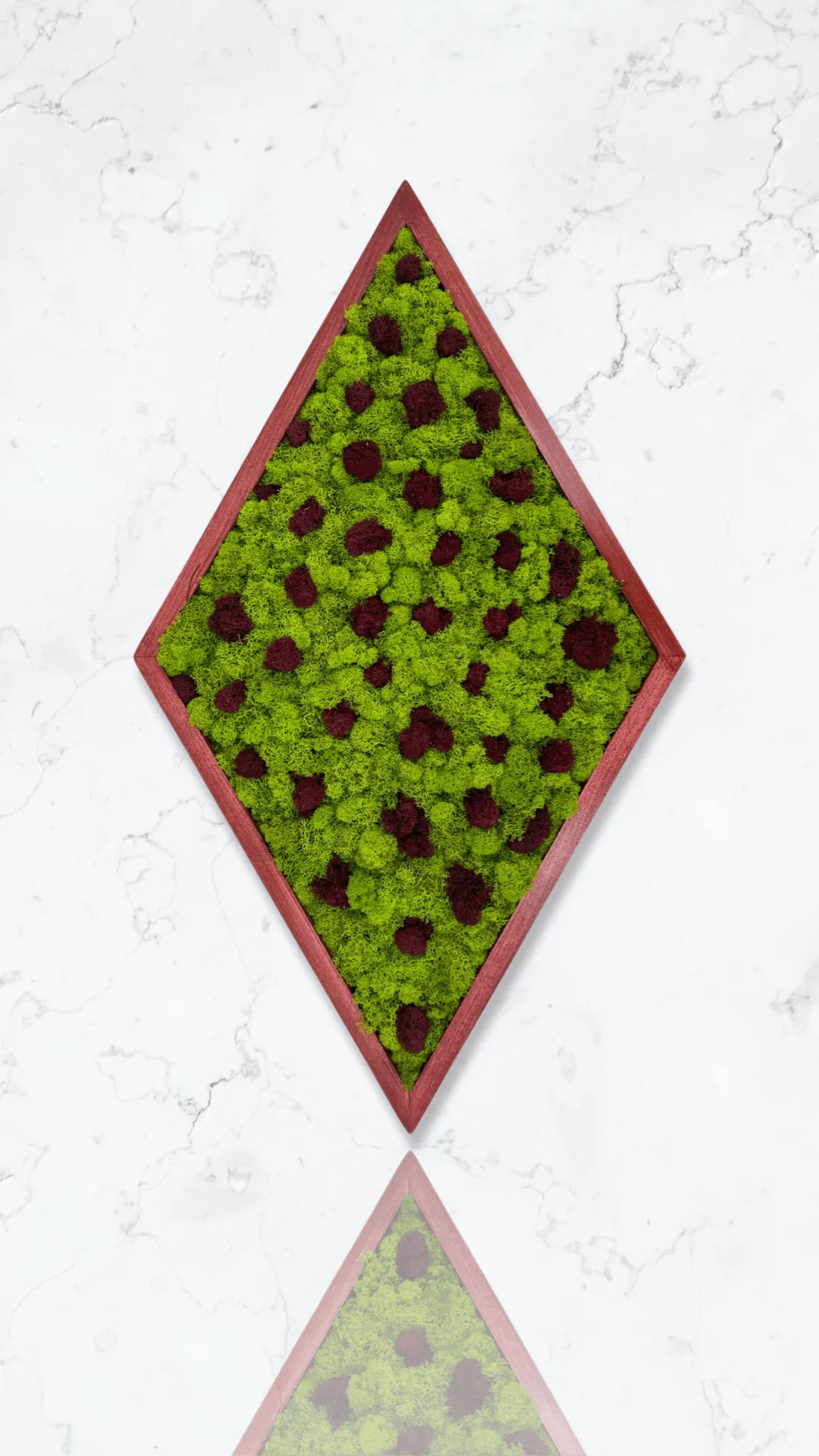 Framed Diamond Moss Wall Art