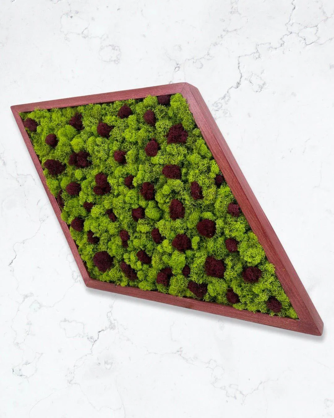 Framed Diamond Moss Wall Art