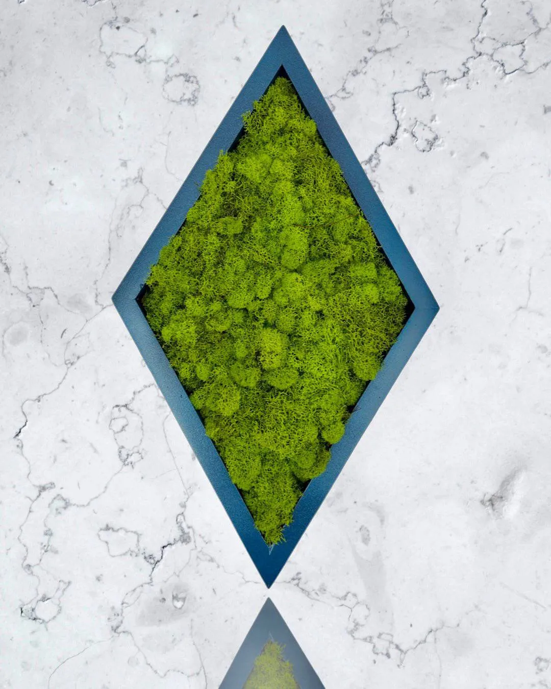 Framed Diamond Moss Wall Art