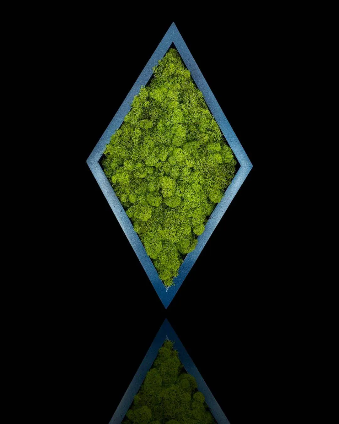 Framed Diamond Moss Wall Art