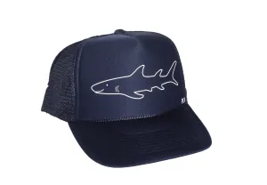 Friendly Shark