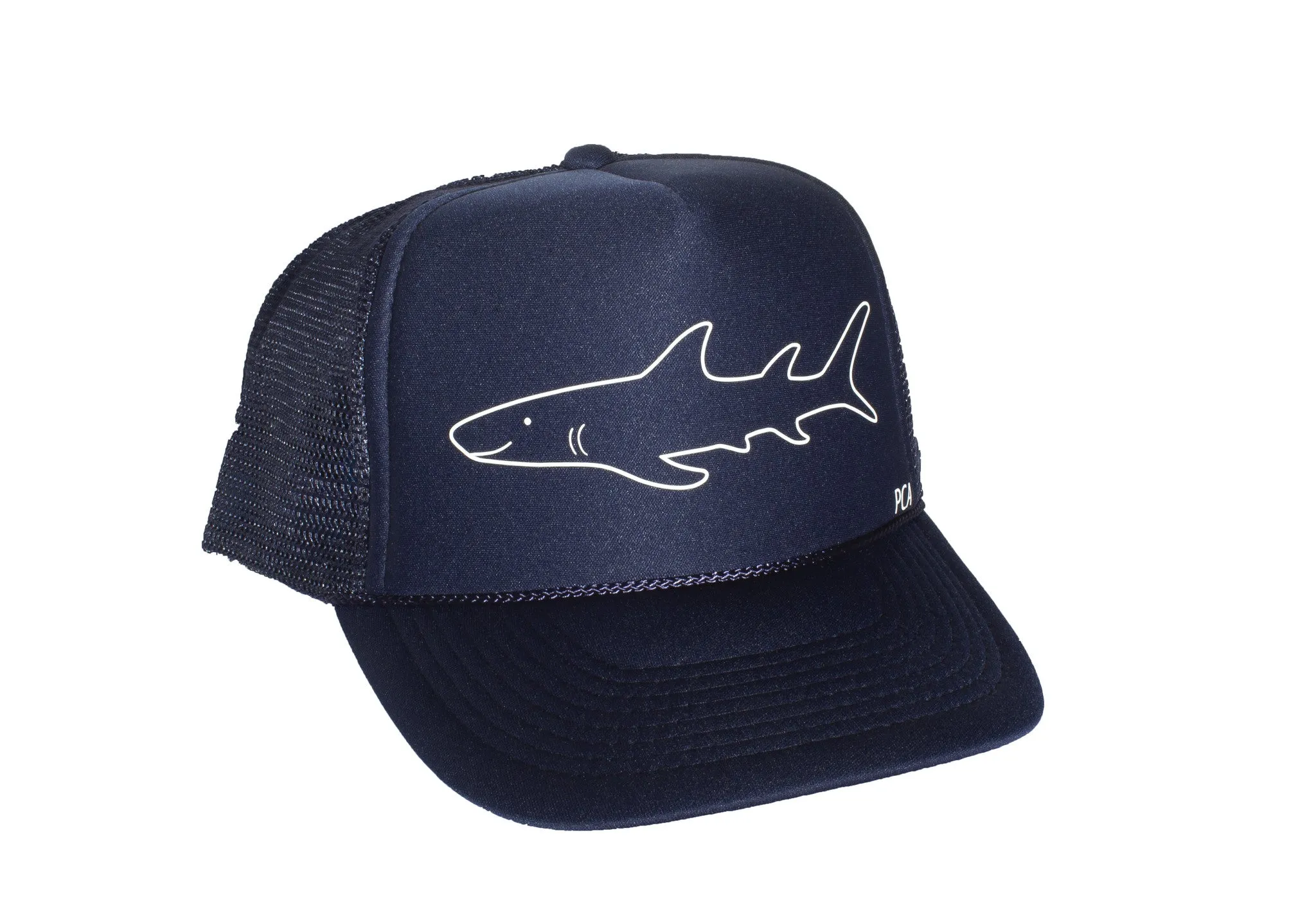 Friendly Shark