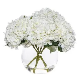 Hydrangea in Phoebe Sphere Vase | White