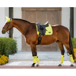 IT02704 LeMieux Loire Polo Bandages Wraps - Kiwi