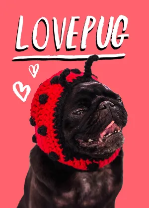 LOVEPUG