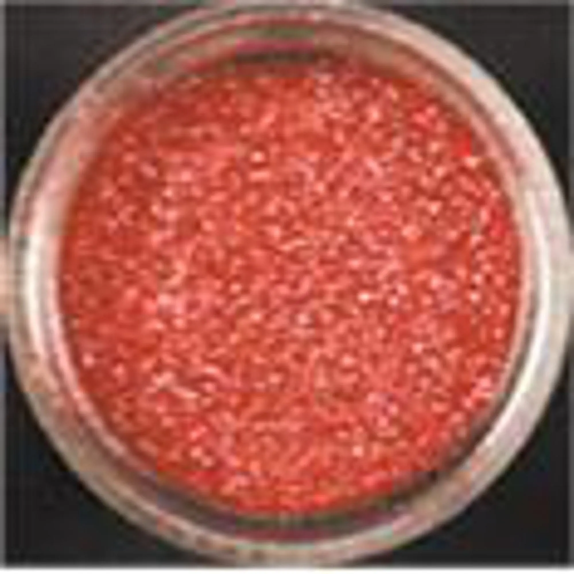Luster Mini Burgundy Blast Powder.