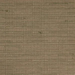 PINEHURST OLIVE