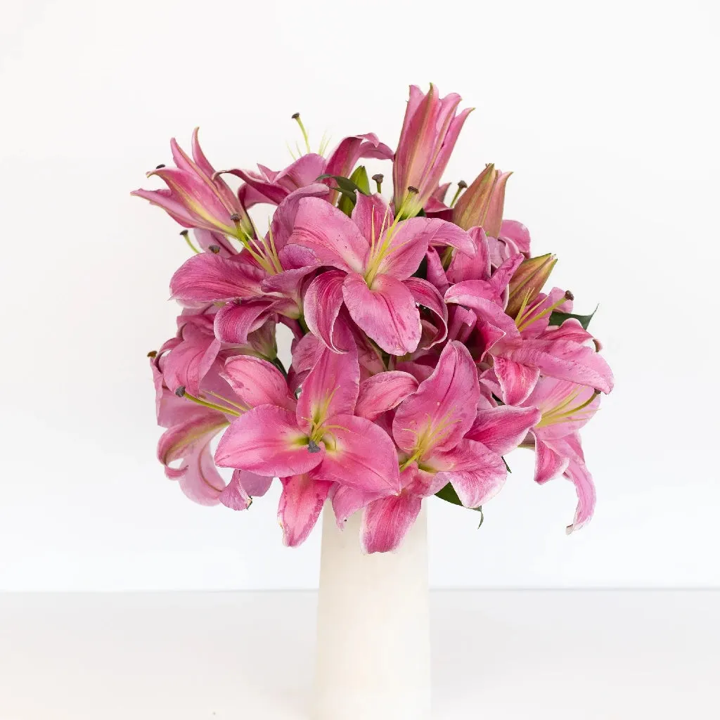 Pink Oriental Lilies