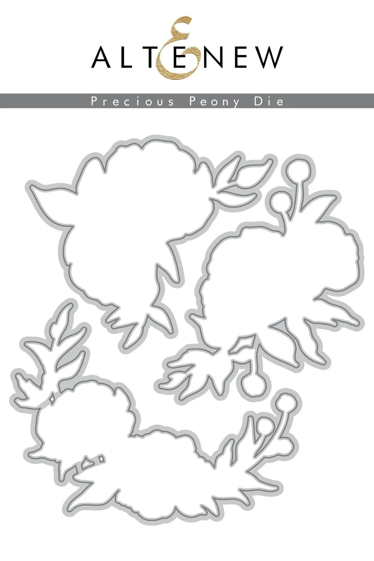 Precious Peony