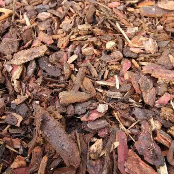 Premium Border Bark Sample